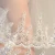Import BV17152 New Wedding Bridal Veil Double Band Combed Lace Veil Photo Studio Brides Modeling Yarn from China