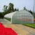 Import Cheap plasticSingle-Span Agricultural Greenhouses tunnel plastic greenhouse film agriculture plastic coated steel greenhouse from China