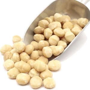 cheap price Macadamia nut in shell, macadamia nut kernel