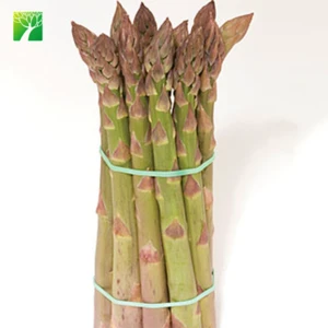 Cheap wholesale green direct sow method vegetable seed Asparagus officinalis Asparagus Seeds