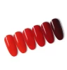 Cherries nail polish 2020 new wine red series nail glue nail shop special phototherapy transparent red