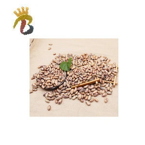 China manufacturer dried Blue speckled bean long shape