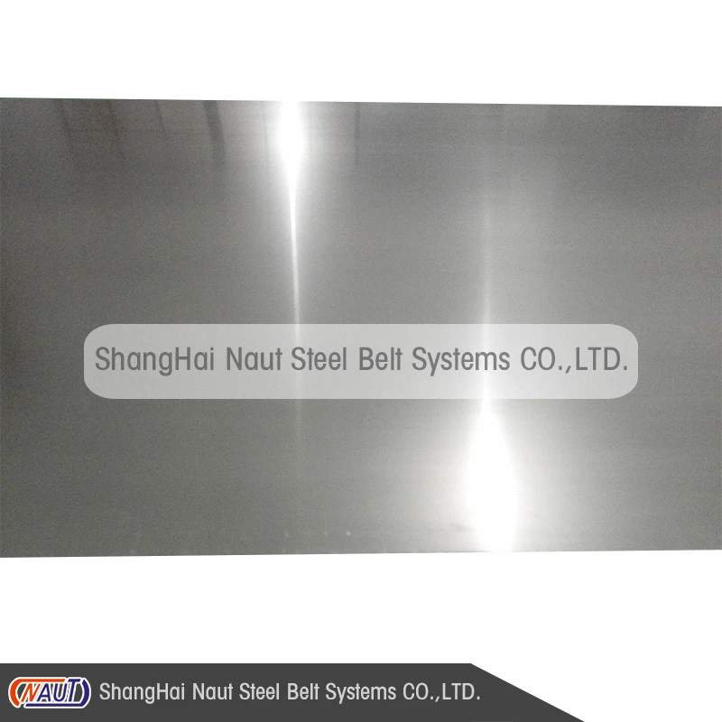 china steel belt supplier NAUT hot selling ASS-1200 SUS304 stainless steel conveyor belt