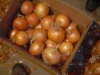 Chinese cheap good fresh onion for sale