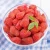 Import chinese fresh freeze dried strawberry fruit from China