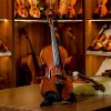 CHRISTINA EU3000A European Original Imported Professional Level Playing Class Handmade Violin With Gift String Bow