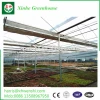 Coco peat media hydroponics system for melon fruit