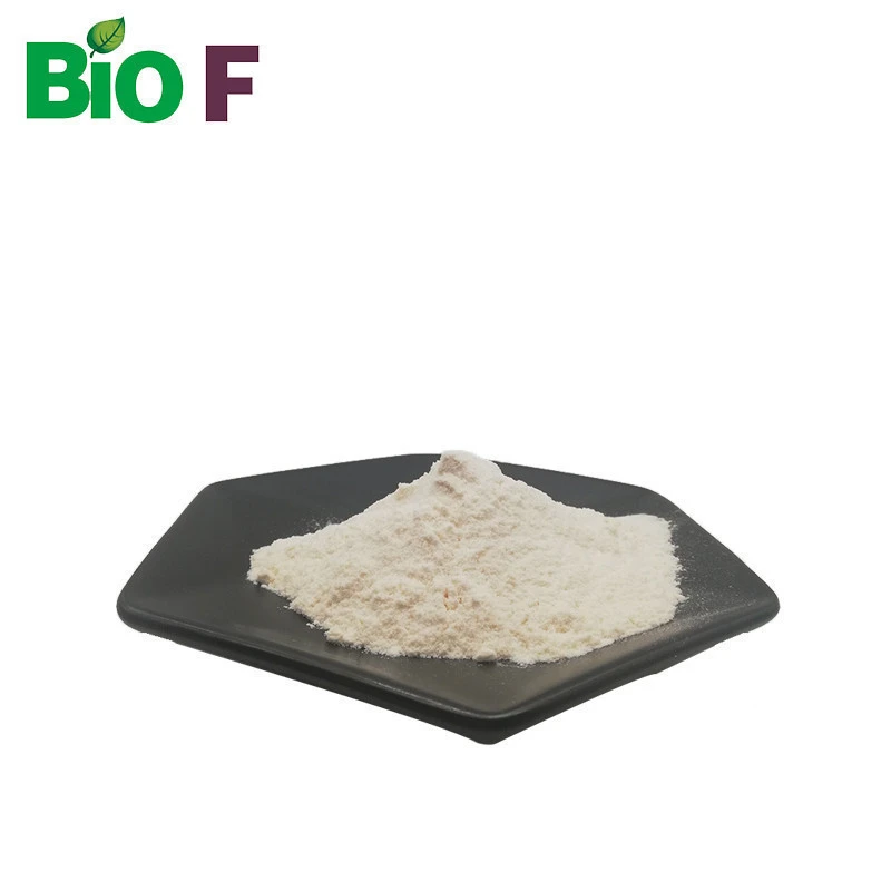 collagen powder supplement Wholesale hydrolyzed bovine halal collagen powder