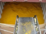 corn gluten