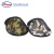 Import Custom Logo Printed Earmuffs/Ear Muff for Cold Weather from China