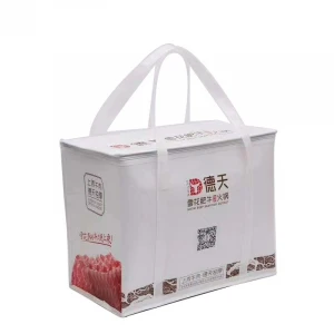 Custom Non-woven Insulation Bag Delivery Picnic Portable Ice Pack Food Thermal non woven Cooler Bag