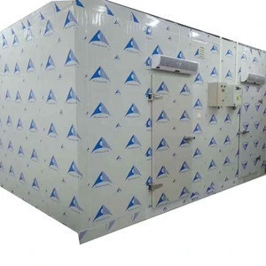 Customized cold room walk in cold chamber /the cold storage room