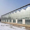 Customized Large Span Commerical Polycarbonate Sheet Anti-fog Greenhouse For Agriculture