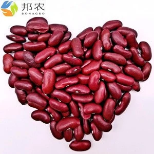 Dark Red kidney beans