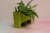 Import Decorative Wall Mounted  Flower &amp; Plant Plastic Garden/ Nursery Pots from China
