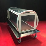 Desalen Professional Coffin Appearing Act Secret Body Display Stage Illusion Magic Tricks