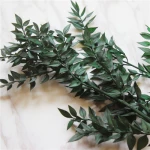 Dried flower wholesale Ruscus Household flower arrangement Bouquet materials home decoration