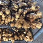 Dried ginger to Europe 2018