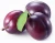 Import dried plum,fresh plum from South Africa