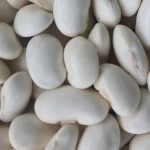 DRY Butter Beans