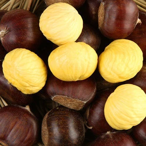 Dry  Chestnut for sale