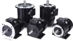 Electric Permanent Magnet Synchronous Motor