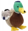 EN71 Standard OEM Plush Newest Soft Pigeon Toy
