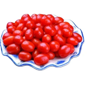 Export fresh organic big snow white cherry tomatoes