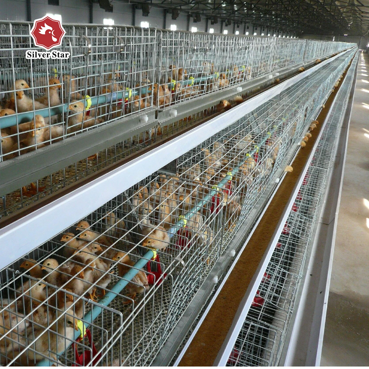 Factory direct supply chicken machine/Large animal cage