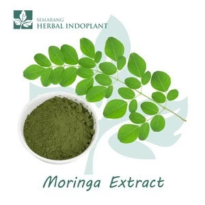Factory Direct Supply Natural Herbal Plant Moringa Powder Extract