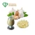 Factory Supply 100% Natural Garlic 1%-5% Allicin Garlic Extract Powder