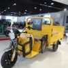 Factory Supply 3 Wheel Electric Cargo Tricycle Strong Power 60V 800W Electric Trike