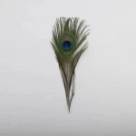 Factory Wholesale Cheap Full Eye Dyed Purple Peacock Tails Feather
