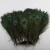 Import Factory Wholesale Cheap Full Eye Dyed Purple Peacock Tails Feather from China