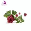 food additive for capsules cranberry extract powder