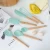 Import Free Shipping food grade BPA-free plastic heat resistant 6pcs wood handle kitchen silicone cooking utensils set from China