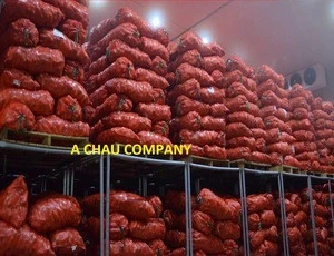 Fresh bulk carrot export from Vietnam +84 963 974 095