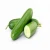 Import Fresh Cucumber / Quality Cucumber / Cucumber from Canada