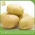 Import Fresh diamond potato buyers/new potato importer in malaysia price from China