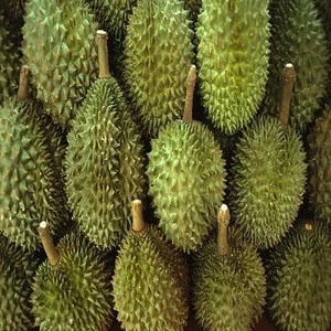 Fresh Durian High Quality for sale