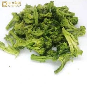 Fresh Frozen White Vegetable Dry Hydrolyzed Broccoli