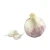 Import Fresh garlic specification;white garlic from China