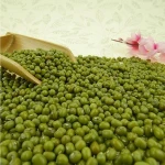 FRESH GREEN MUNG BEANS / Moong dal / VIGNA BEANS