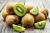 Import Fresh KiwiFruit/Kiwi Fruit Supplier from Ukraine