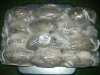 Frozen Cuttlefish Whole Round from Indonesia