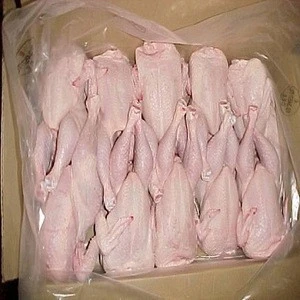 Frozen Halal whole chicken