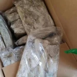 Frozen Illex Squid Egg/Roe with Cheap Price