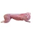 Import Frozen Rabbit Meat from USA