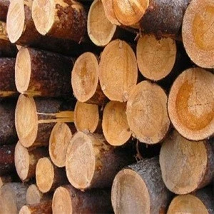 Fuel Wood in Logs