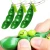 Import Funny Mini Soybean Squeeze Gift Toys Antistress Ball Relieve the Pressure For Kids Adult Fidget Toy from China